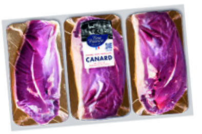 FILET DE CANARD X3