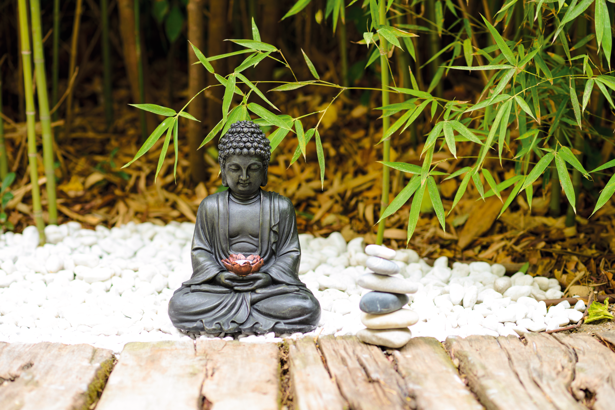 BOUDDHA SOLAIRE AVEC FLEUR DE LOTUS