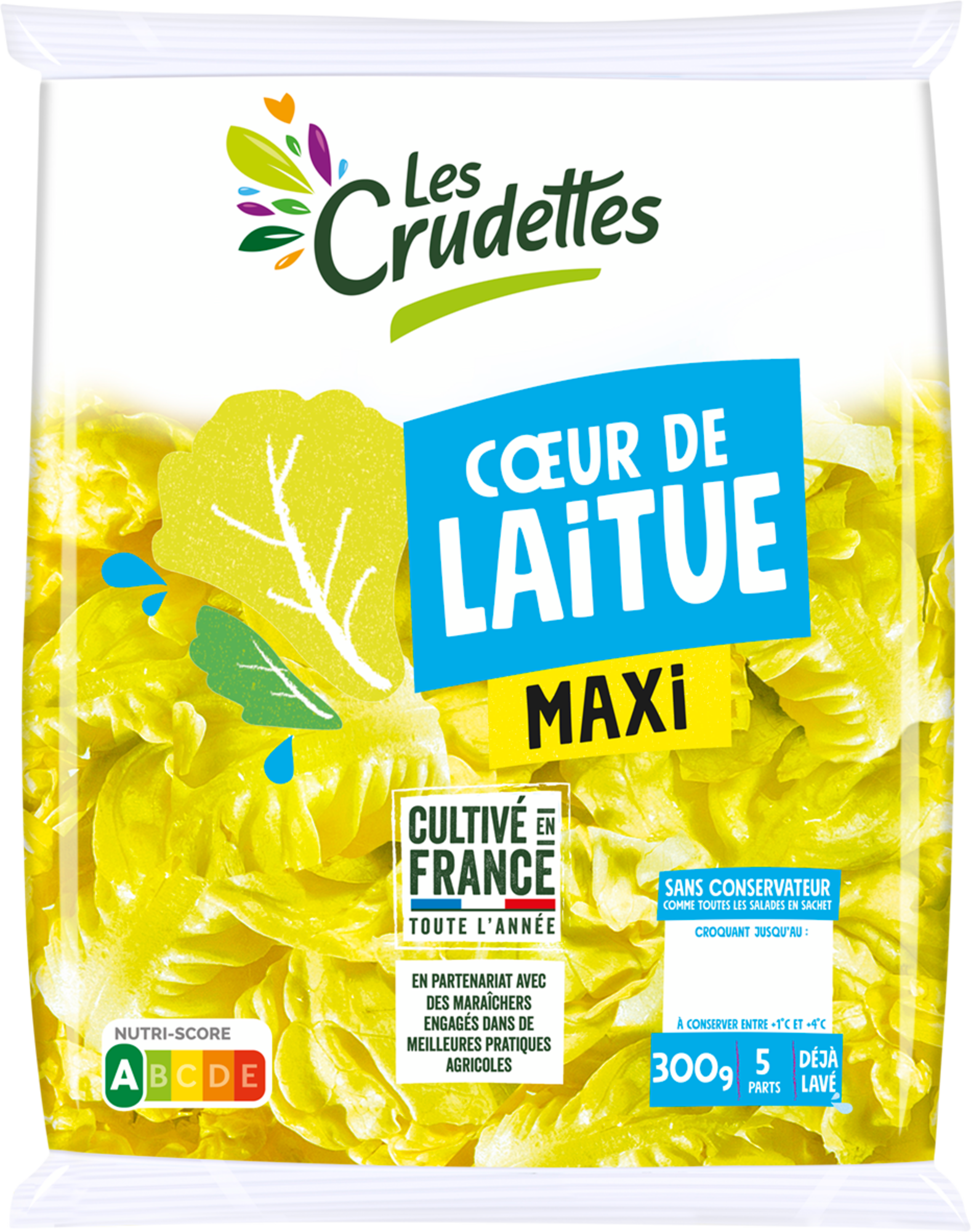 Cœur de laitue maxi