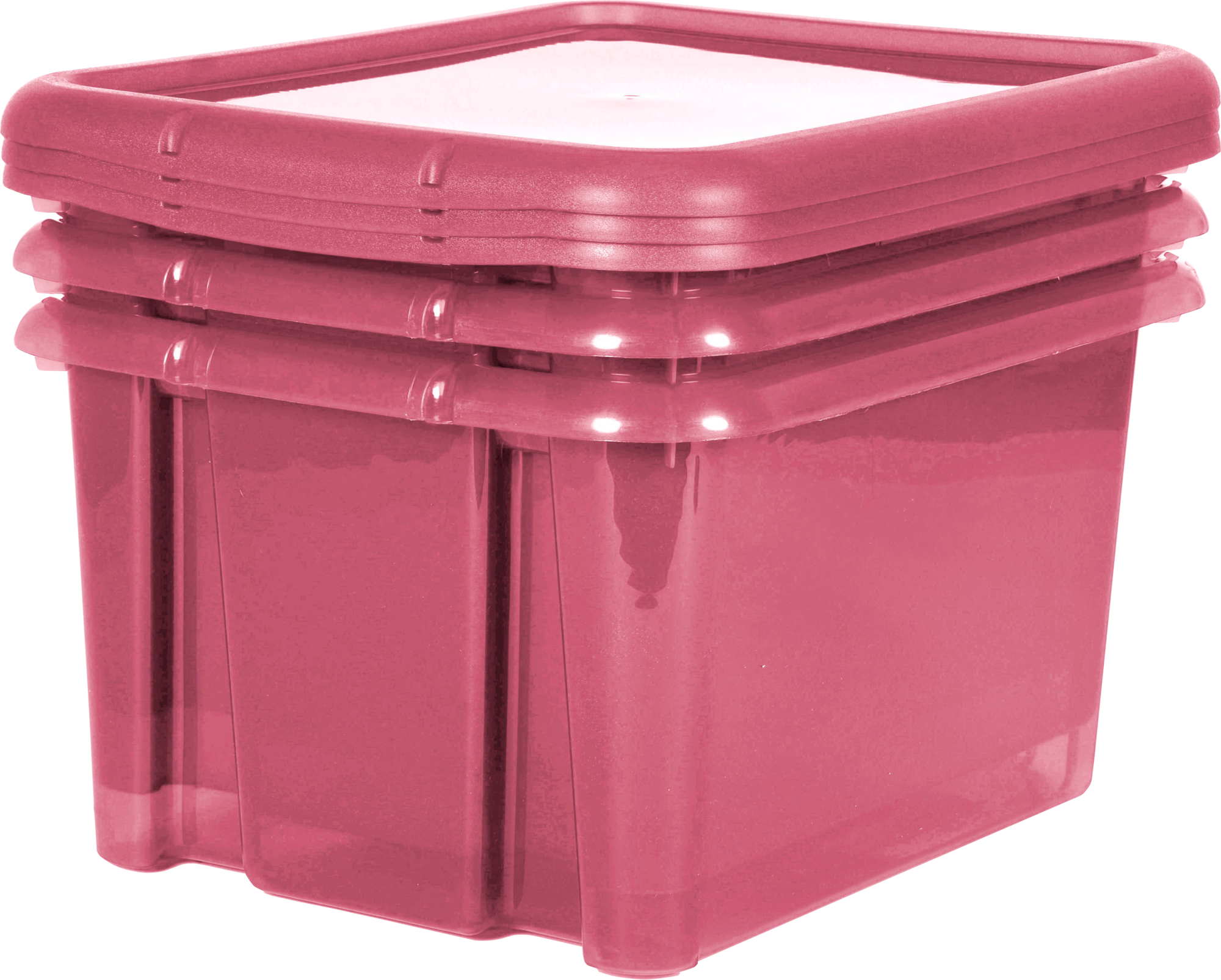 LOT 3 BOÎTES DE RANGEMENT FUNNY BOX 30L