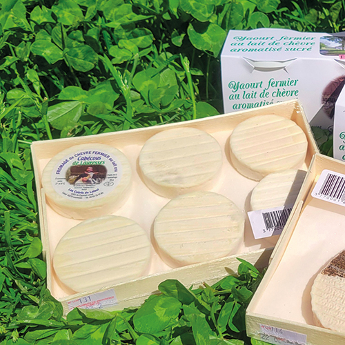 LE CABÉCOU FERMIER CABÉCOUS DE LAURESSES