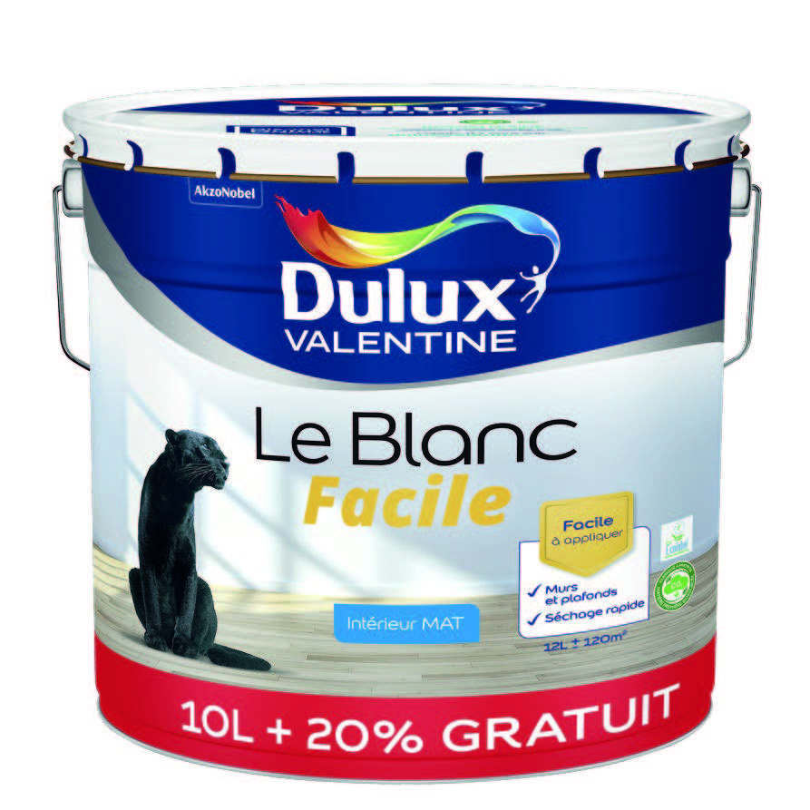PEINTURE BLANC MAT