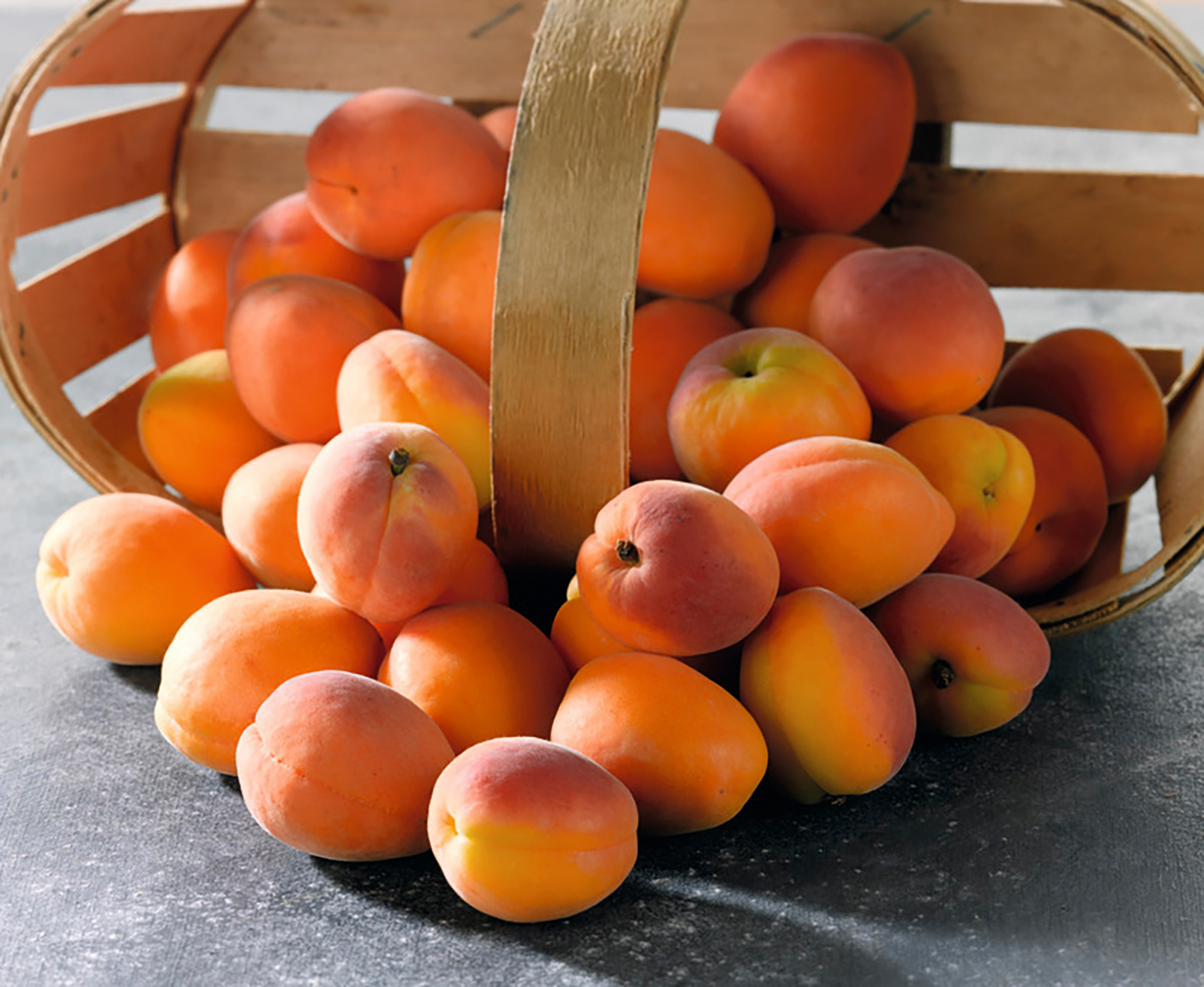ABRICOTS