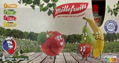 12 GOURDES COMPOTE MULTIFRUITS 