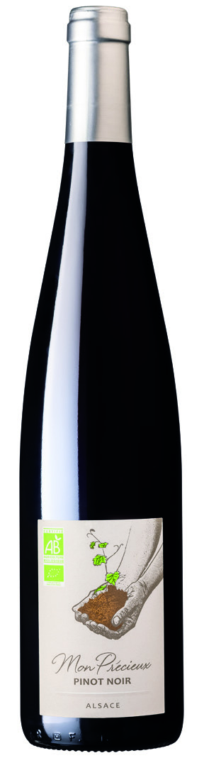 AOP* PINOT BLANC OU NOIR ‘MON PRÉCIEUX’ BIO