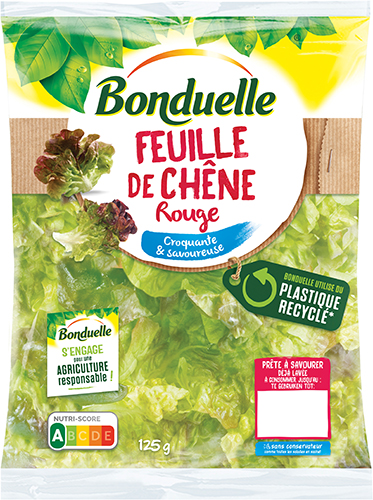 FEUILLE DE CHÊNE ROUGE