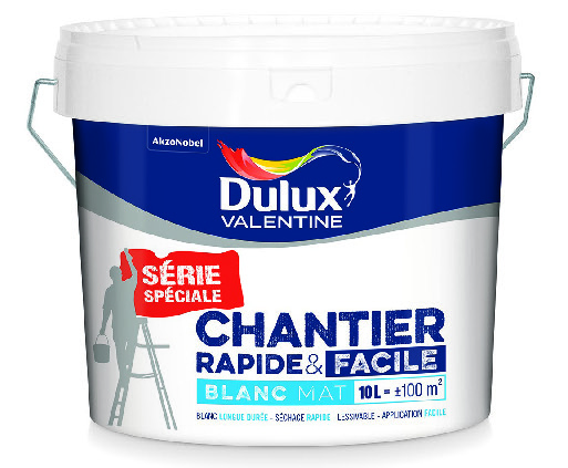 PEINTURE MURS ET PLAFONDS BICOUCHE 10 L