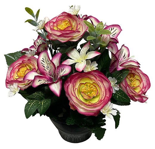 Coup LILA
(Renoncules, lys)