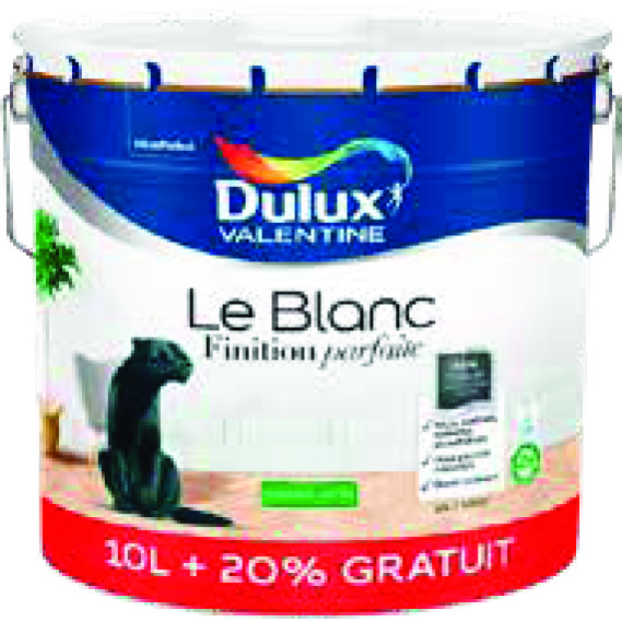 PEINTURE MURS ET BOISERIES(2)