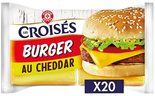 FROMAGE FONDU AU CHEDDAR SPÉCIAL BURGER 17% MAT. GR.