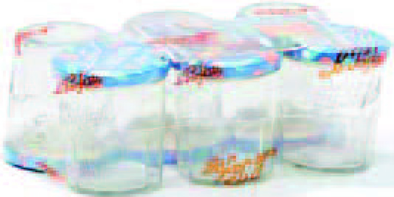 PACK DE 6 POTS DE CONFITURE