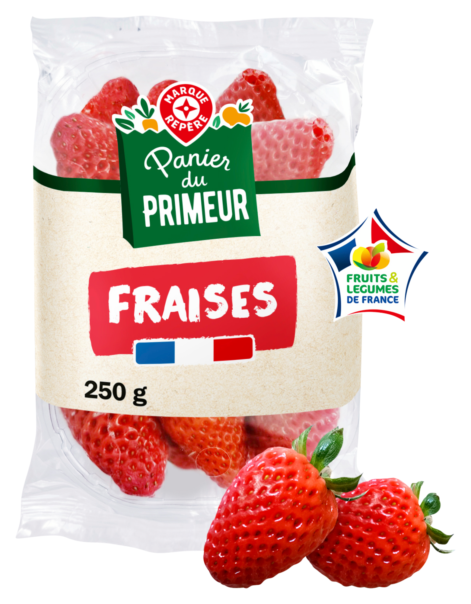 FRAISES ALLONGÉES FILIÈRE