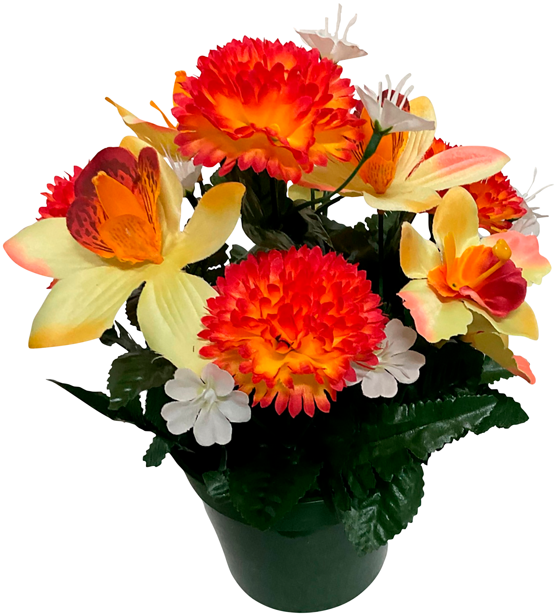 POT OLIA ORCHIDÉES ET OEILLETS