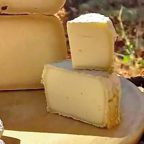 TOMME DE BREBIS