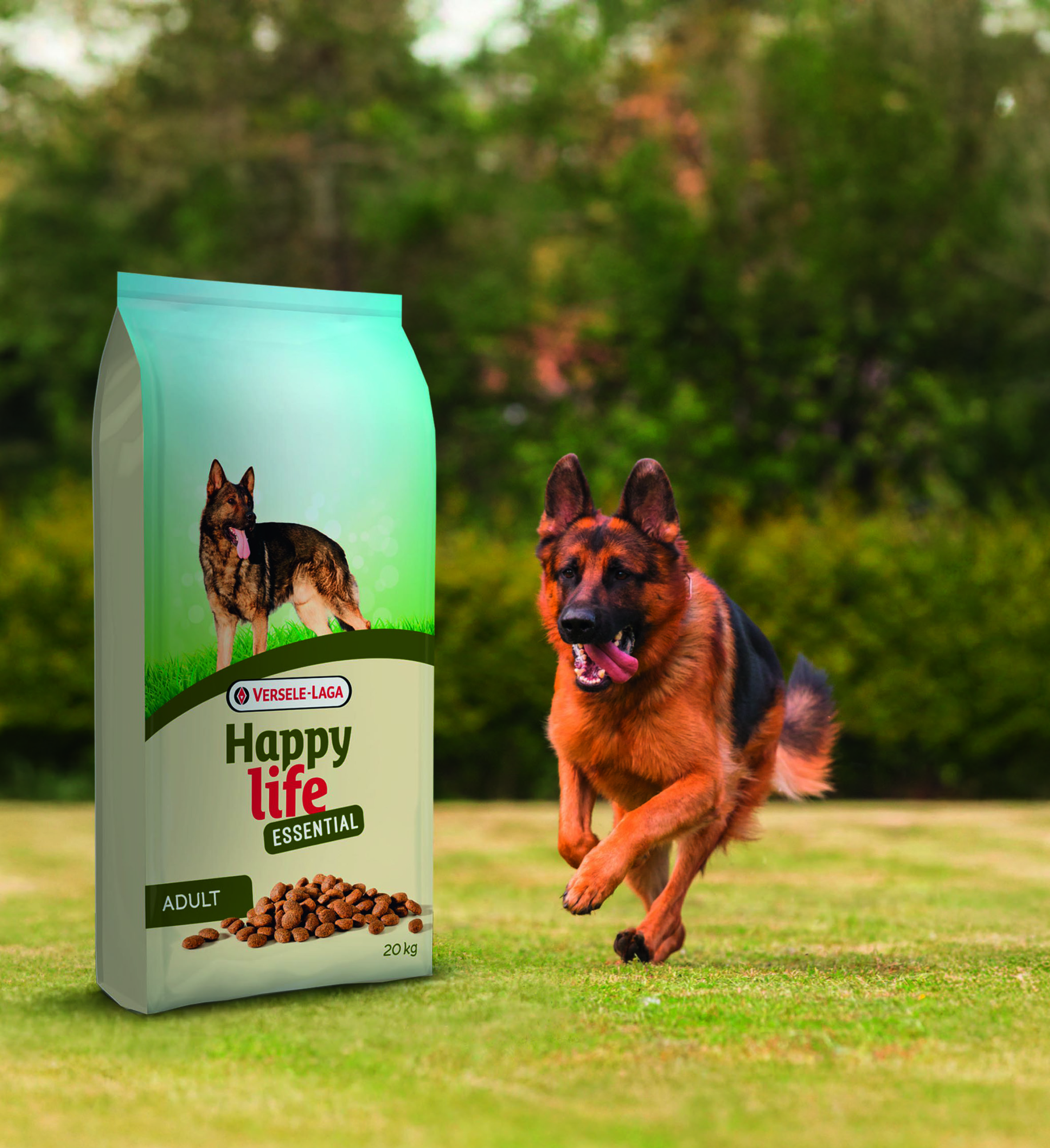 CROQUETTES POUR CHIEN