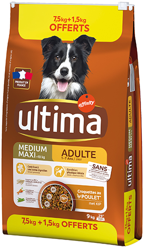 Croquettes pour Chien