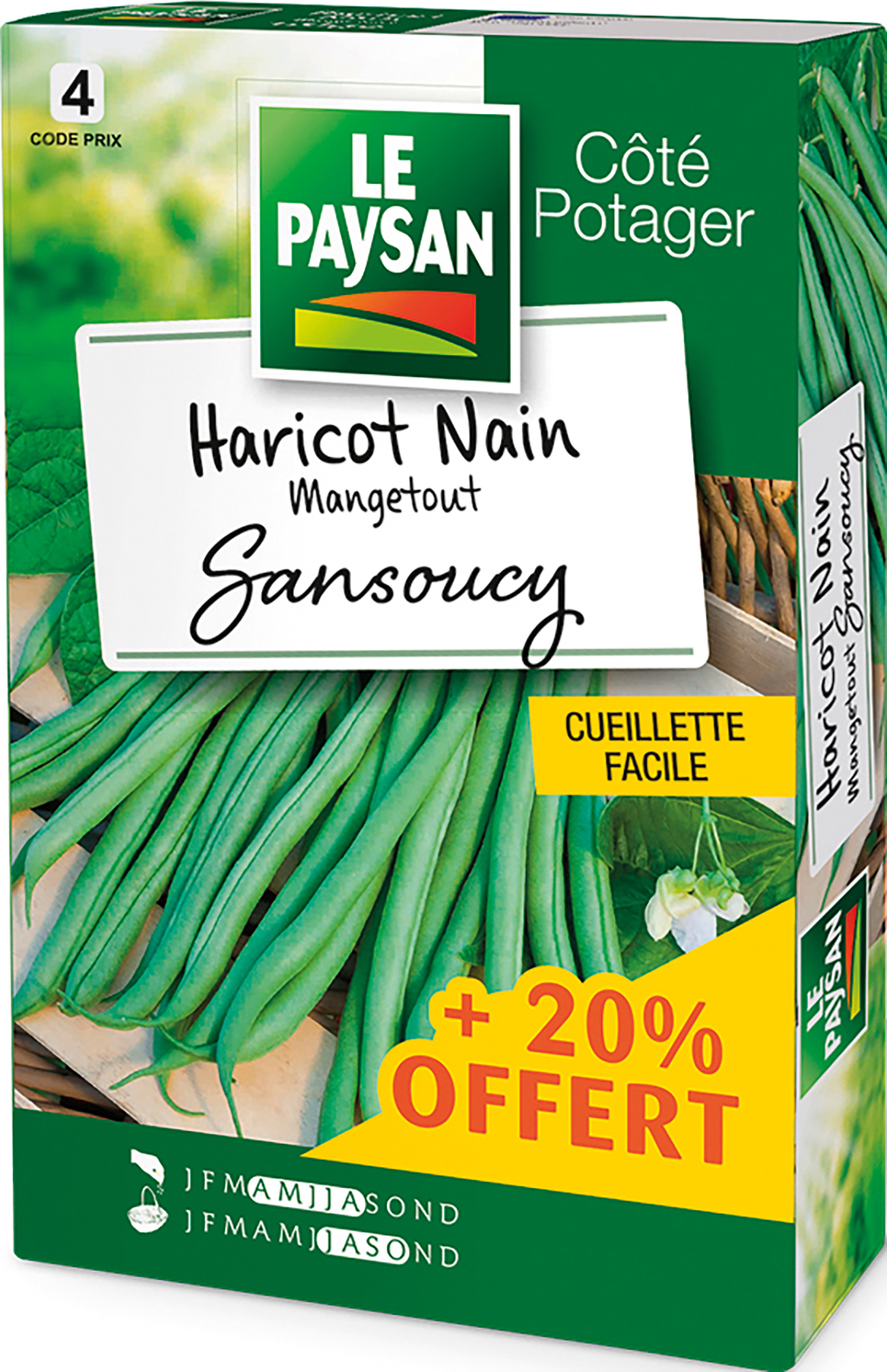 SEMENCE HARICOT NAIN