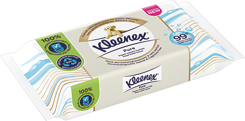 PAPIER TOILETTE HUMIDE