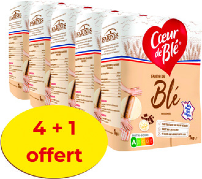 FARINE DE BLÉ TOUT USAGE
