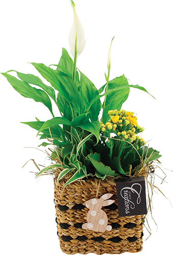 COMPOSITION DE PÂQUES