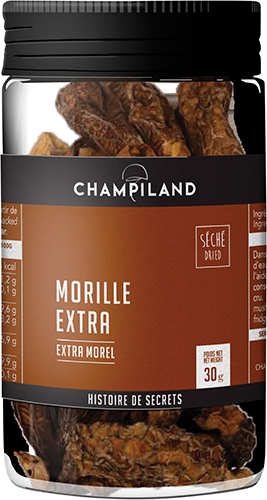 MORILLE EXTRA SÉCHÉ