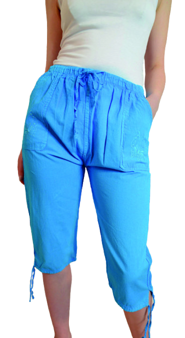 PANTACOURT SEQUINS OU BRODERIE AUX POCHES