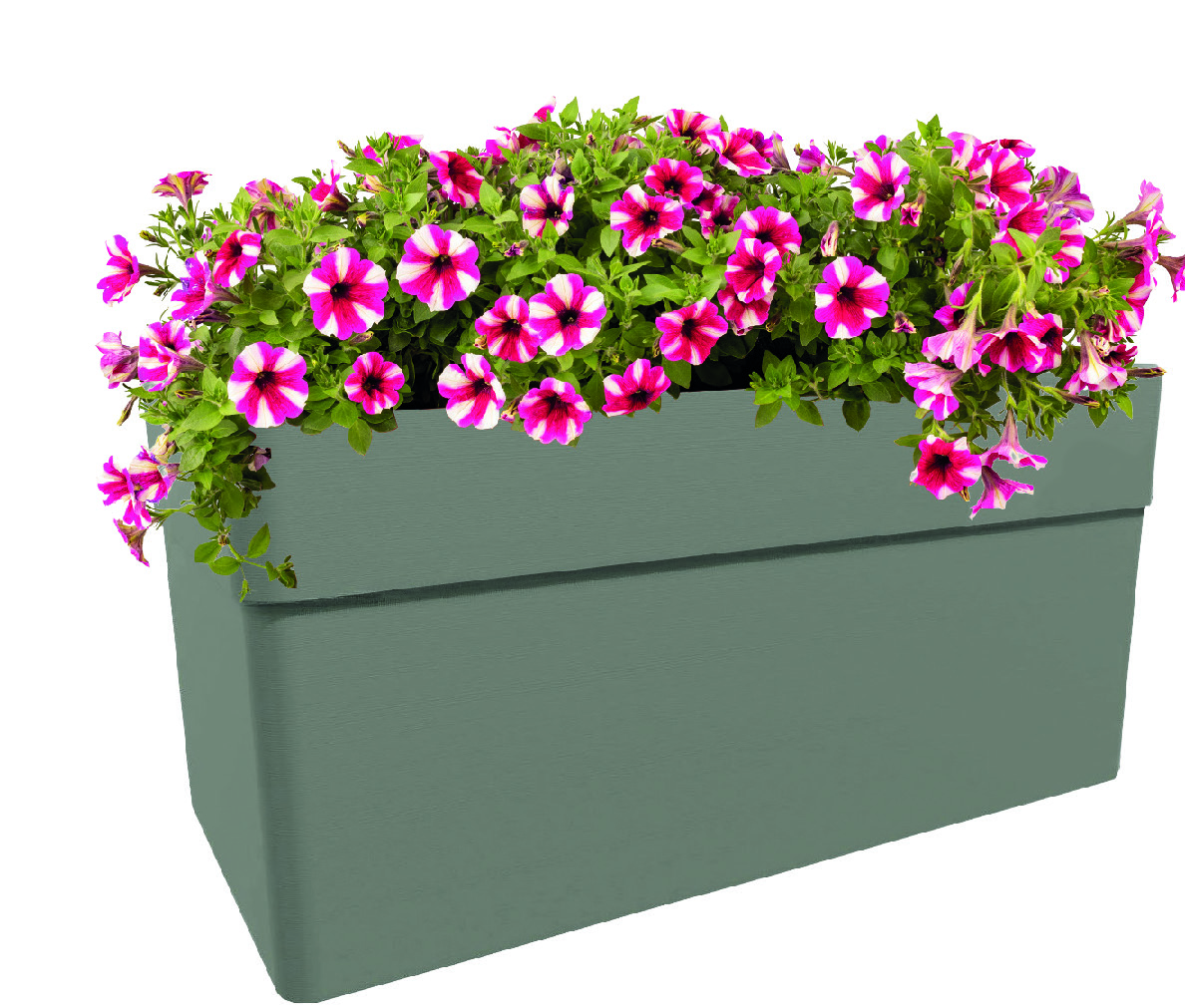 JARDINIÈRE CAREL
