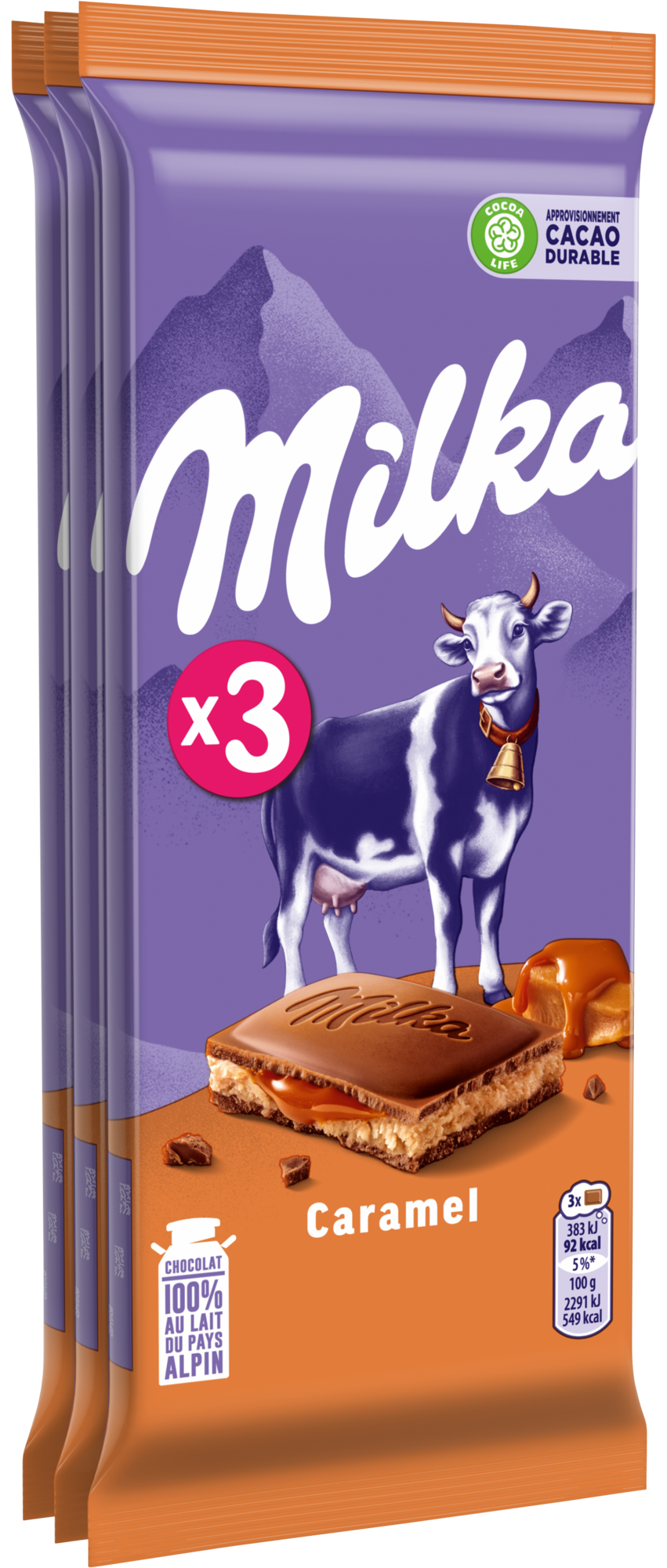 TABLETTES DE CHOCOLAT