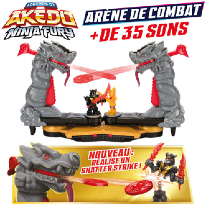 ARÈNE DE COMBAT