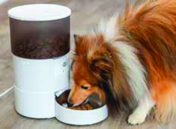 DISTRIBUTEUR AUTOMATIQUE DE NOURRITURE