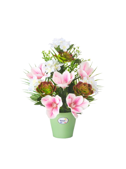 COMPOSITION DE MAGNOLIAS /HORTENSIAS / CACTÉES*