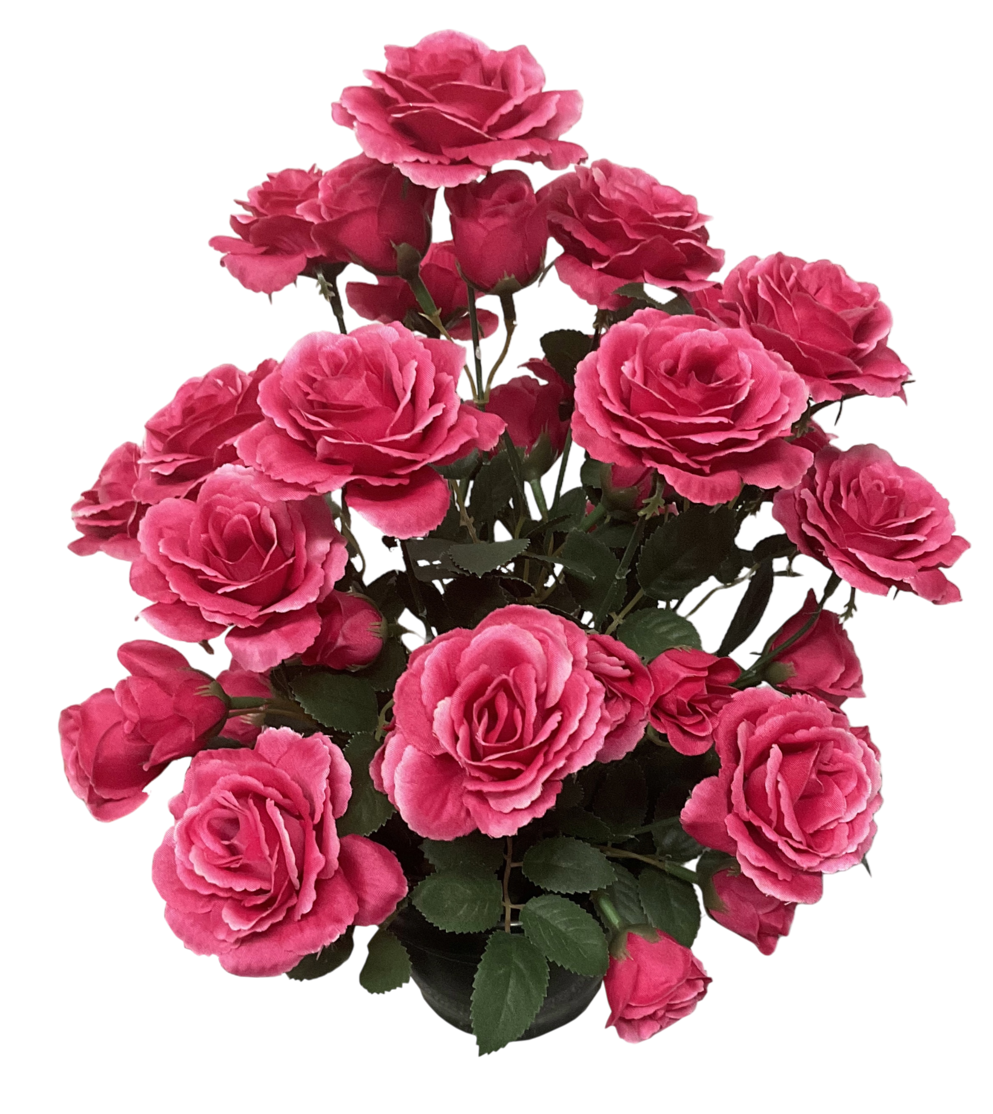 COMPOSITION SUN AVEC ROSES