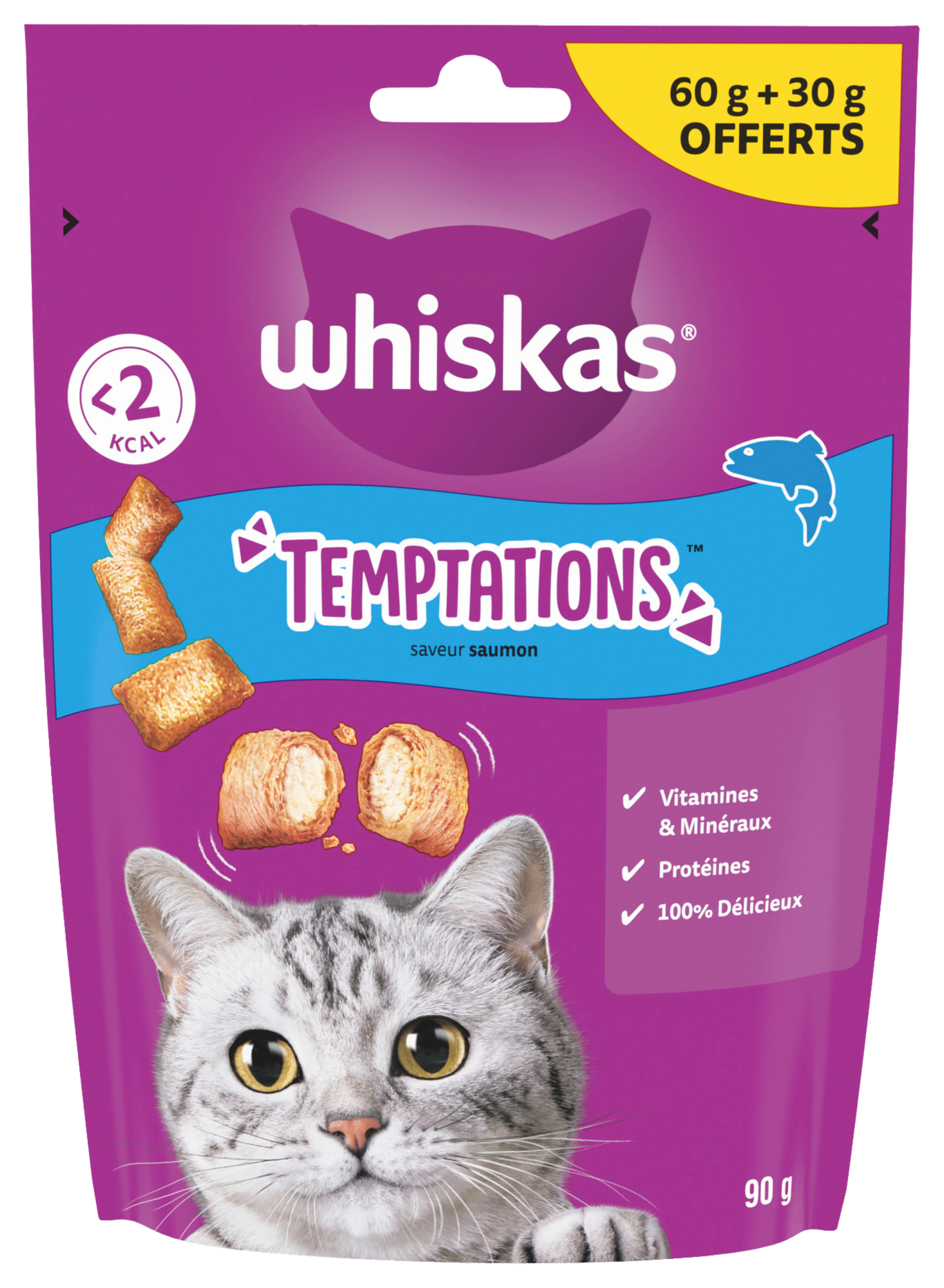 FRIANDISES POUR CHAT TEMPTATIONS