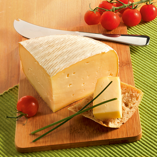 TOMME DE CHÈVRE FERMIÈRE