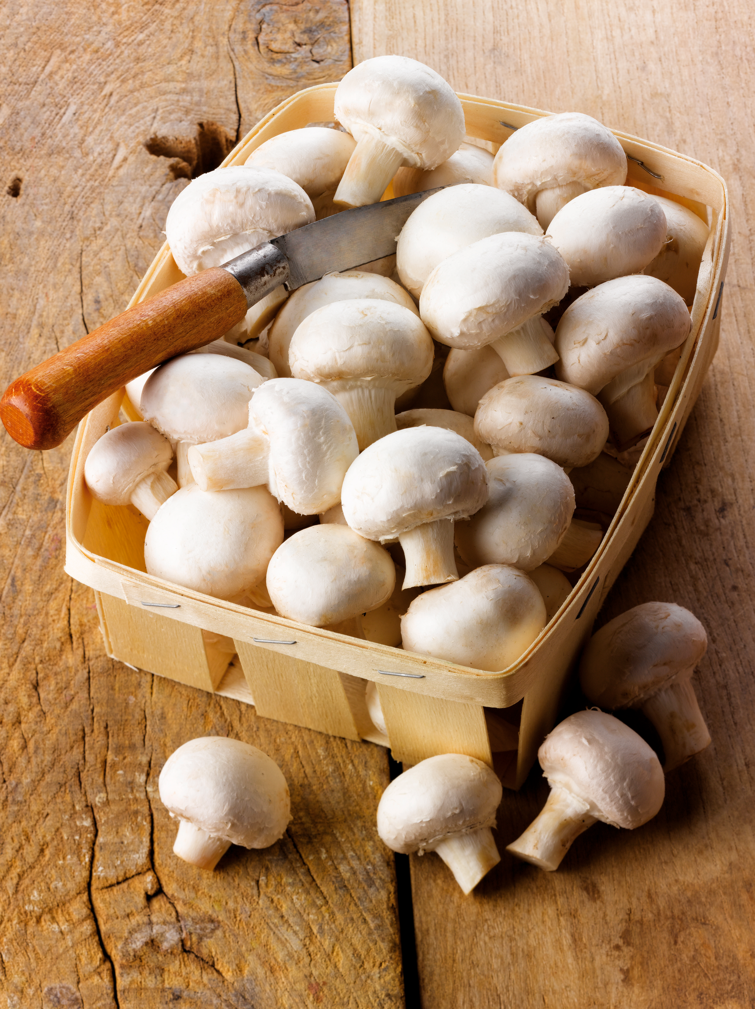 CHAMPIGNONS DE PARIS BLANCS
