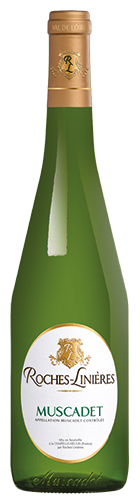 AOP MUSCADET 2022