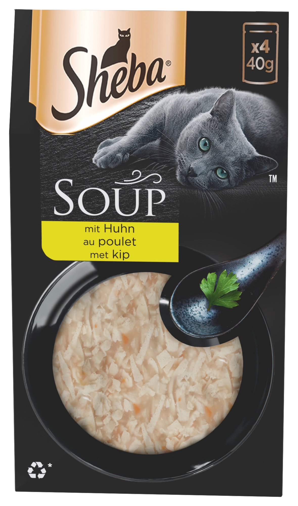 SOUPE POUR CHAT
