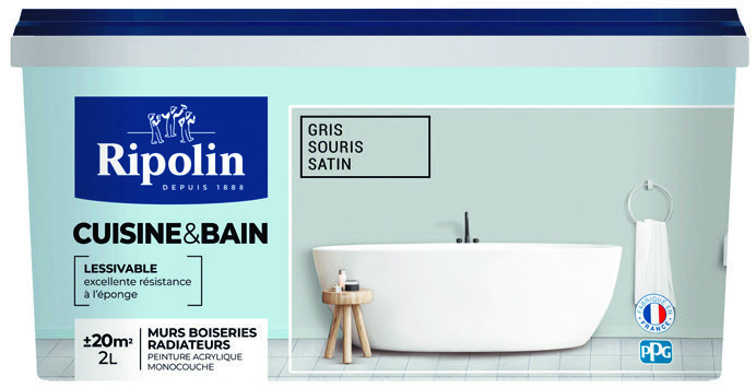 PEINTURE CUISINE & BAIN(1)