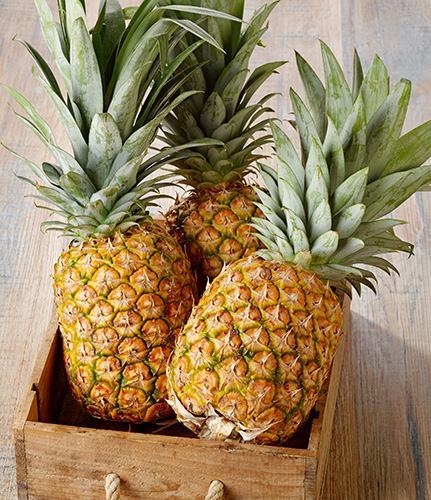 ANANAS