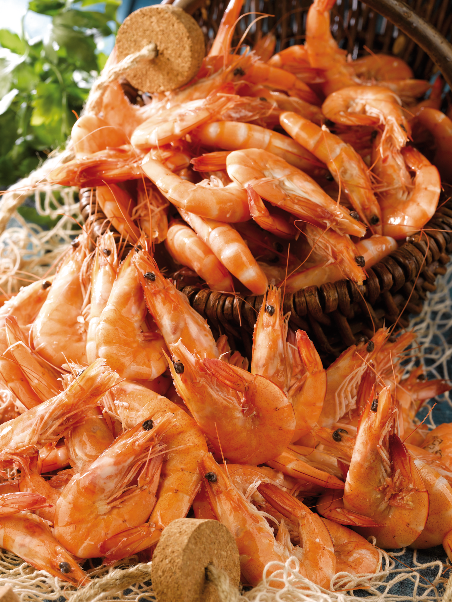 Crevettes cuites