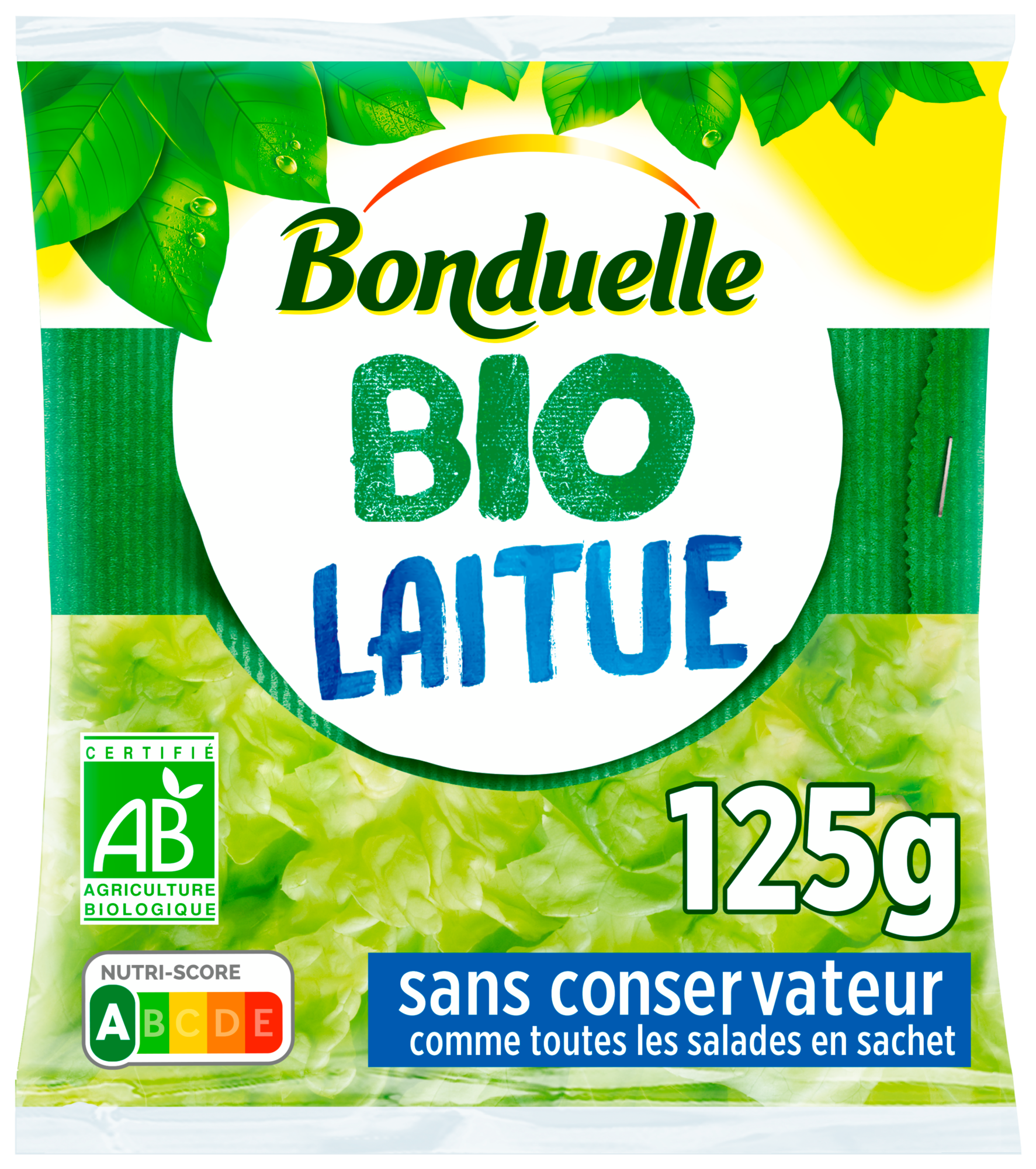 Laitue bio