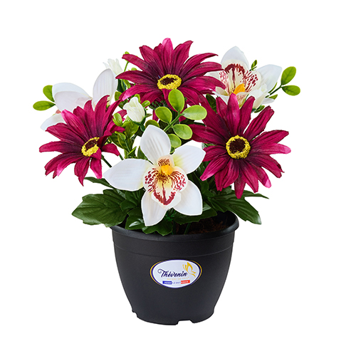 POT DE DAHLIAS/ORCHIDEES