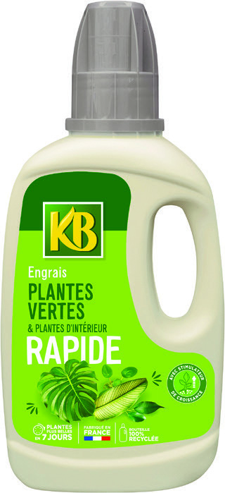 ENGRAIS RAPIDE PLANTES VERTES(1)(2)(3)