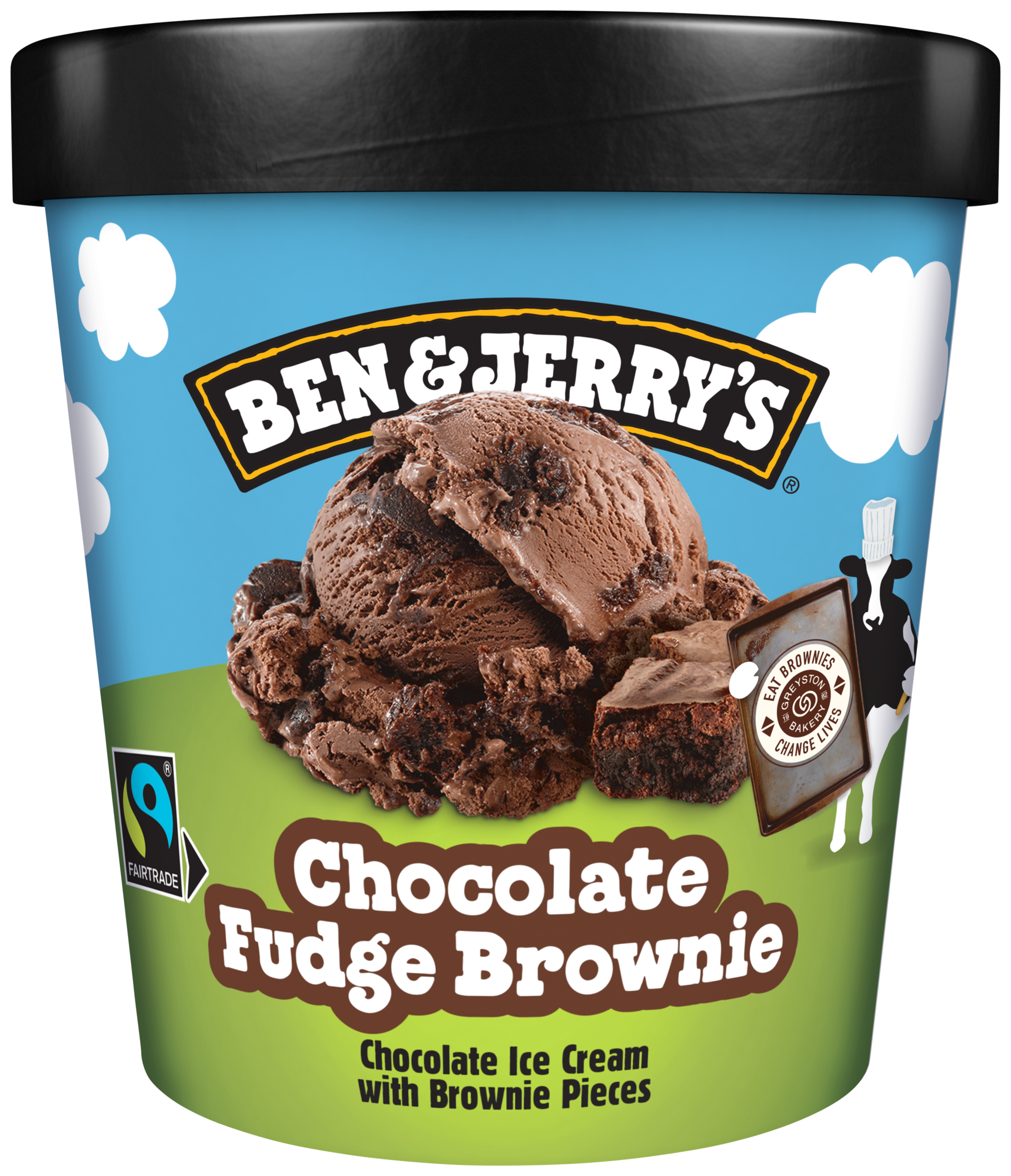 Pot de crème glacée Chocolate Fudge Brownie
