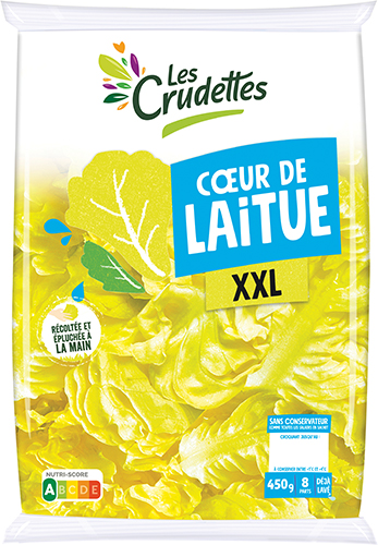 CŒUR DE LAITUE XXL