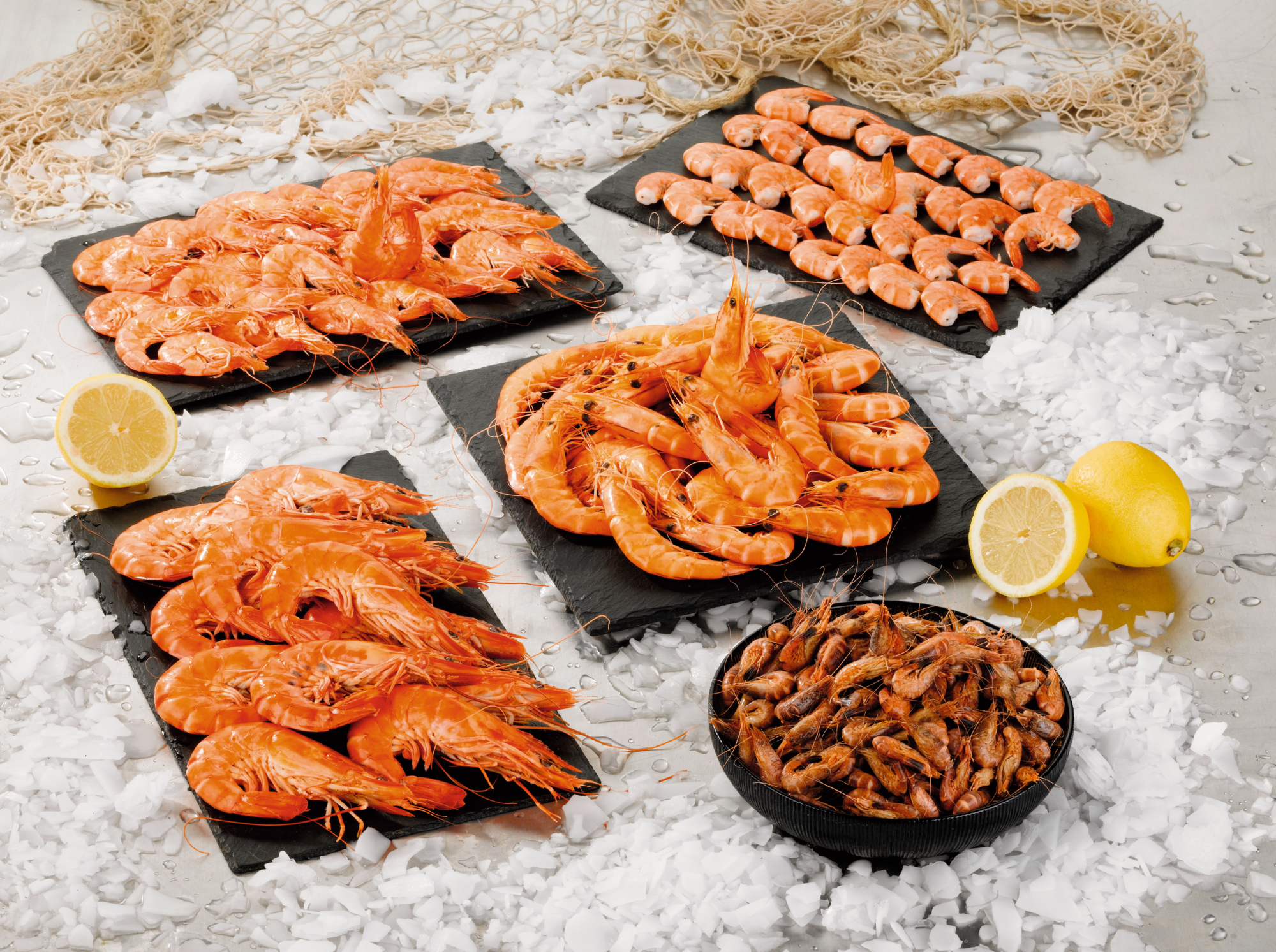 Crevettes sauvages cuites