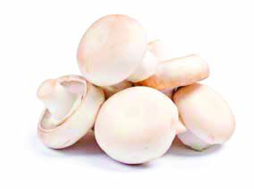 CHAMPIGNONS DE PARIS