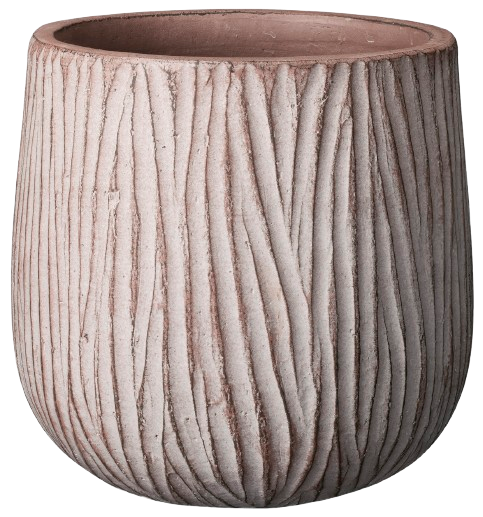 CUVIER "CASKA"
