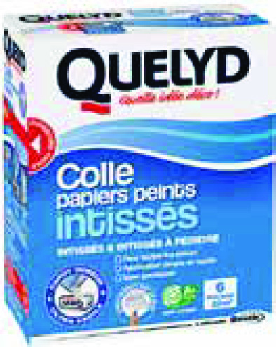 COLLE EN POUDRE(2) PAPIERS PEINTS INTISSÉS