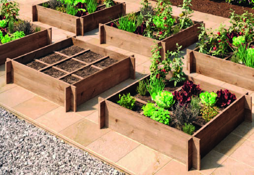 CARRÉ POTAGER(1)